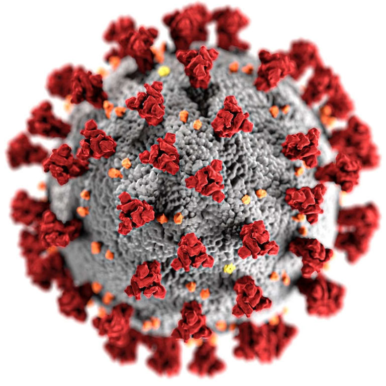 Image of the Coronavirus Virus