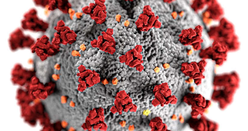 Image of the Coronavirus Virus